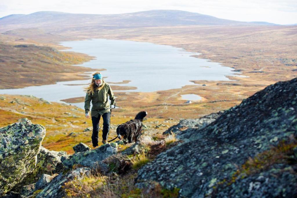 Laegenheter Hamrafjaellet Iskuben Leilighet Tänndalen Eksteriør bilde